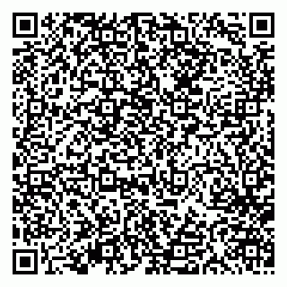 vCard 79613387106