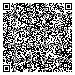 vCard 79613387107
