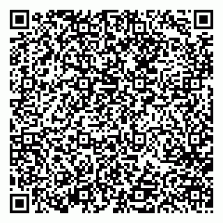 vCard 79613387109