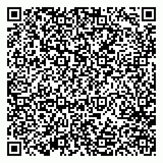 vCard 79613387110