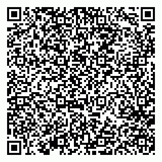 vCard 79613387111