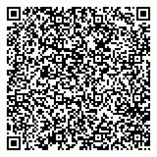 vCard 79613387113