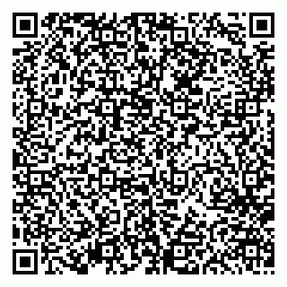 vCard 79613387115