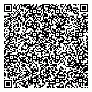 vCard 79613387121