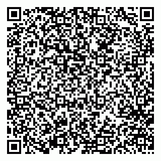 vCard 79613387123