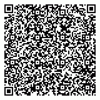 vCard 79613387125