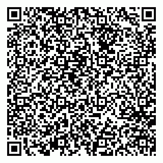 vCard 79613387127