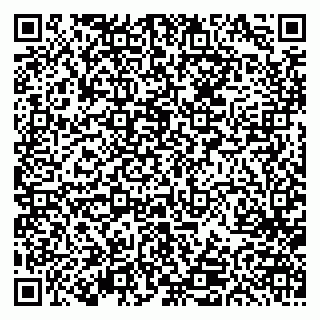 vCard 79613387128