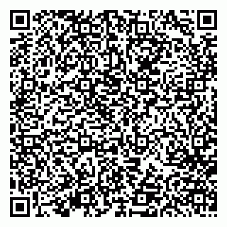 vCard 79613387129