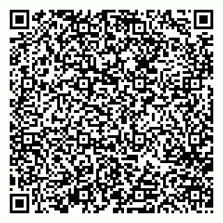 vCard 79613387130