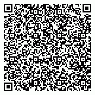 vCard 79613387131