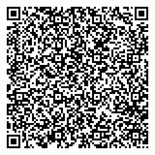 vCard 79613387132