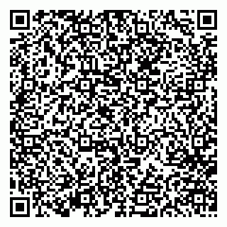 vCard 79613387133