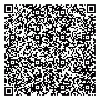 vCard 79613387134