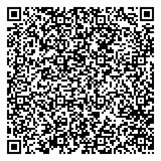 vCard 79613387137