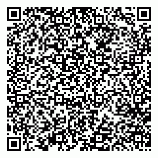 vCard 79613387139