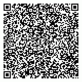vCard 79613387140