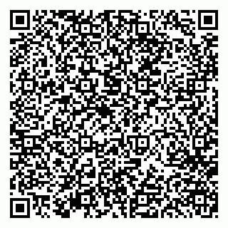 vCard 79613387141