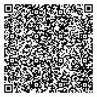 vCard 79613387142