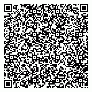 vCard 79613387145