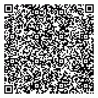 vCard 79613387146