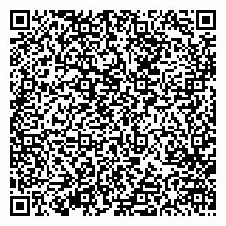 vCard 79613387147