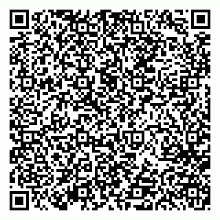 vCard 79613387149