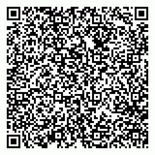 vCard 79613387151