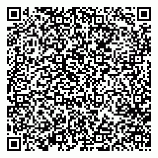 vCard 79613387153