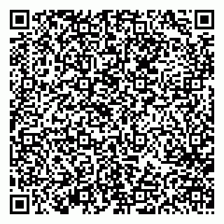 vCard 79613387163