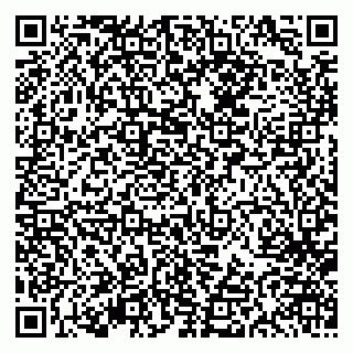 vCard 79613387167