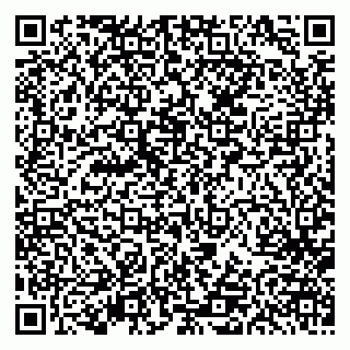 vCard 79613387169