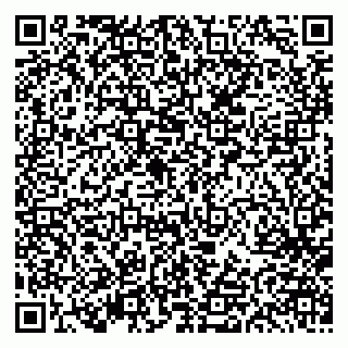 vCard 79613387171