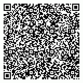 vCard 79613387173