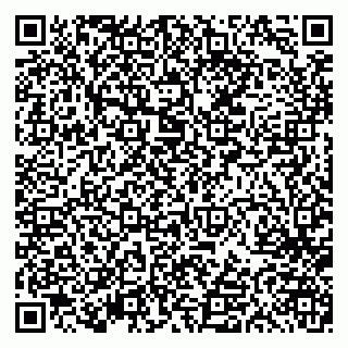 vCard 79613387174