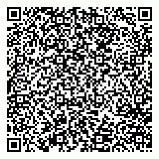 vCard 79613387178