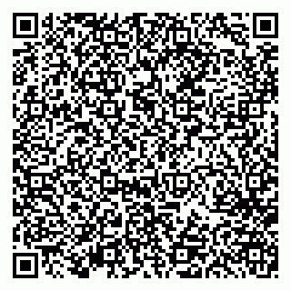 vCard 79613387179