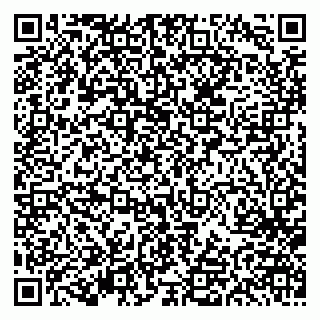 vCard 79613387181