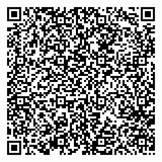 vCard 79613387184