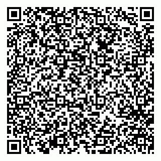 vCard 79613387185