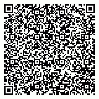 vCard 79613387189