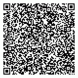 vCard 79613387191
