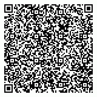 vCard 79613387602