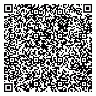 vCard 79613387611