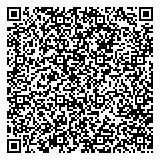 vCard 79613387621