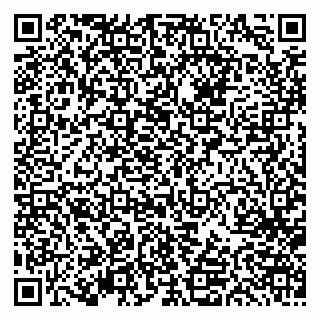 vCard 79613387630