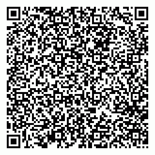 vCard 79613387631