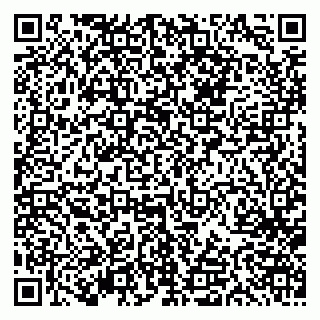 vCard 79613387632