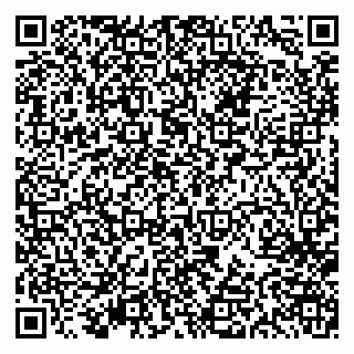vCard 79613387633