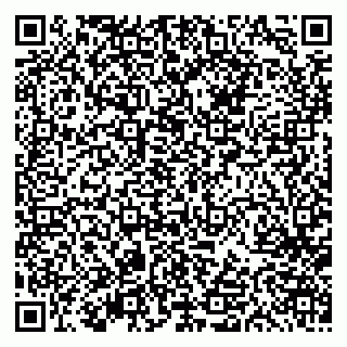 vCard 79613387634